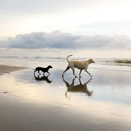 Ferienhaus Pearl & Spice Hideaways - 2 Two Bedroom Cottages Nearby - Part Of The The Bay Filey Holiday Village With Pool, Gym And Direct Beach Access, Pub, Restaurant, Tennis And Meadows Walks *